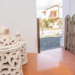 Theashomly 2 *